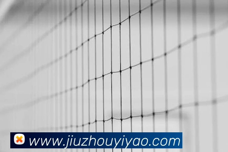 奖项图2